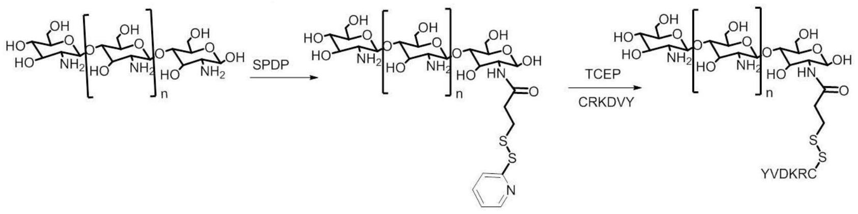 一种壳聚糖六肽衍生物及其制备方法和应用