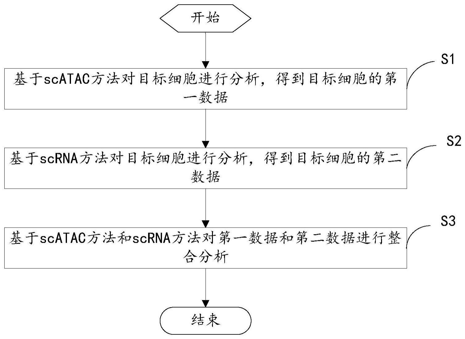 一种单细胞分析方法、装置、电子设备和存储介质与流程