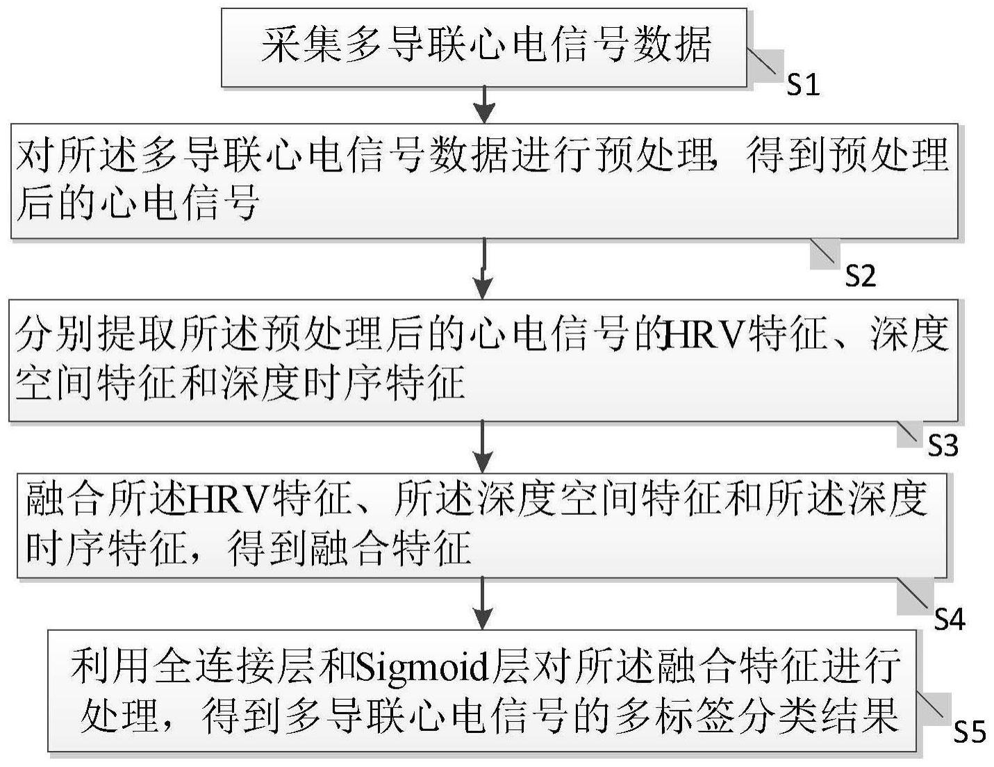 基于多特征融合的多导联心电信号多标签分类方法