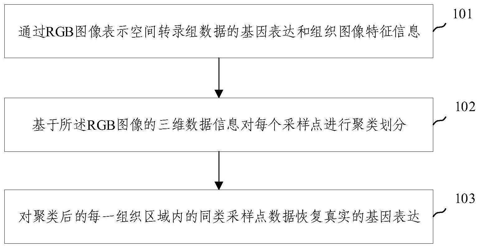 对空间转录组数据进行降噪的方法及装置与流程