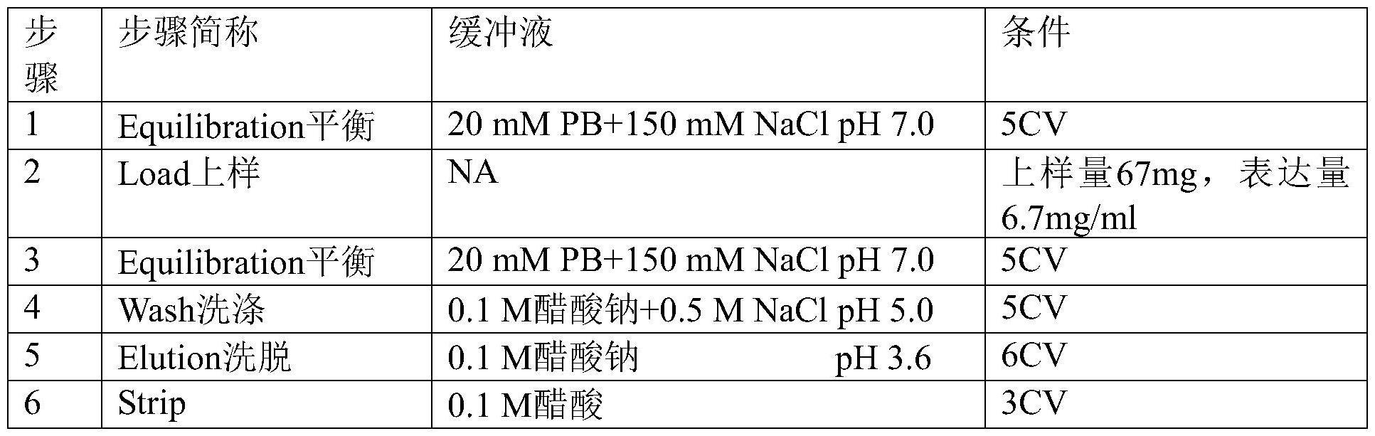 一种使用pH梯度进行阳离子层析的抗体纯化方法与流程