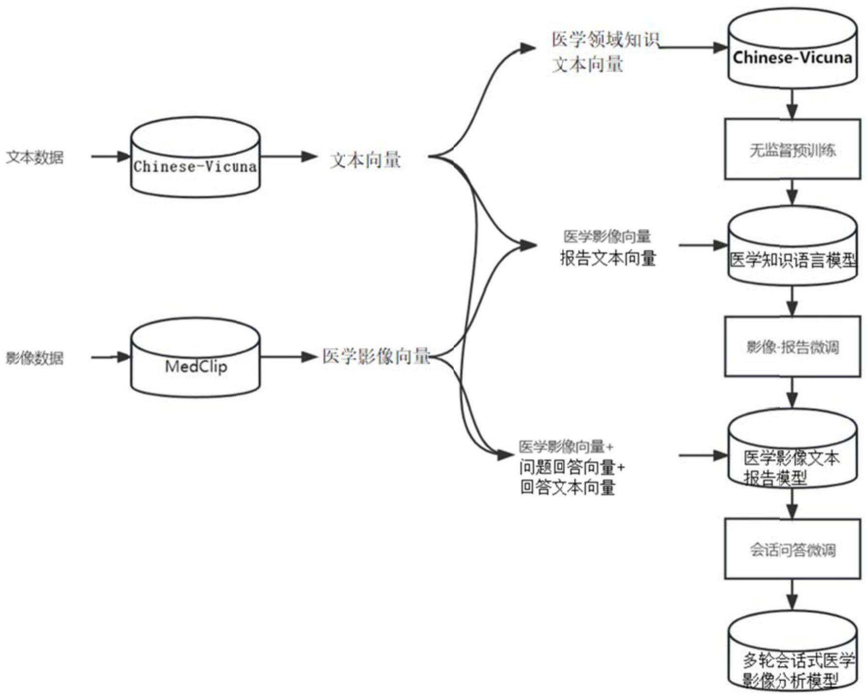 多轮会话式医学影像分析模型的训练方法及应用与流程