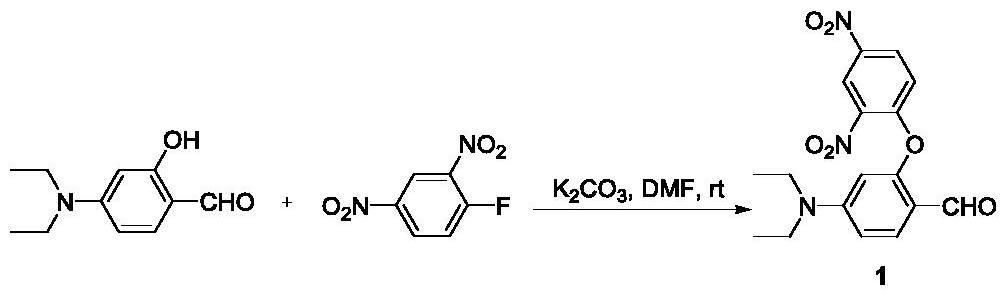 脂滴靶向检测H2S的荧光探针、制备方法和应用及定量检测外源性H2S的方法