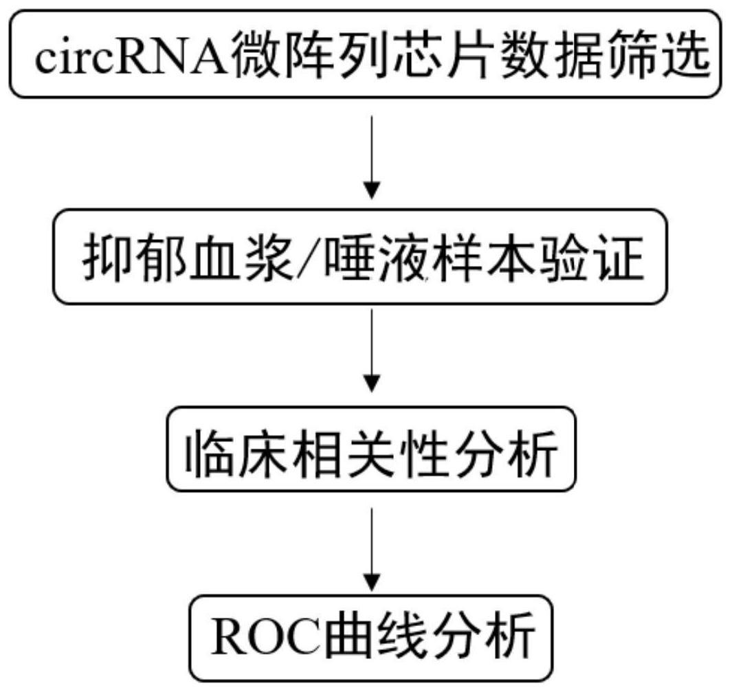 circRNA生物标志物在抑郁症诊断中的应用