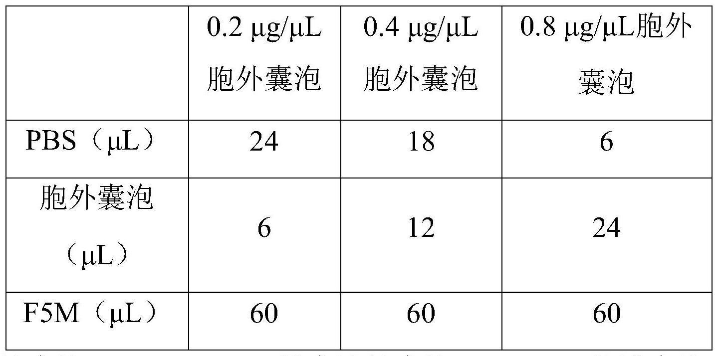 一种细胞外囊泡的分离和鉴定方法