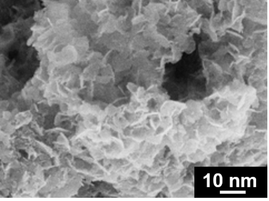 一种花状超薄钴铁类水滑石纳米片的制备方法及其电催化氧化苯甲醇制苯甲酸应用