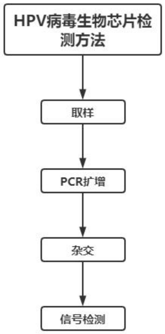 一种HPV病毒生物芯片检测方法及装置与流程