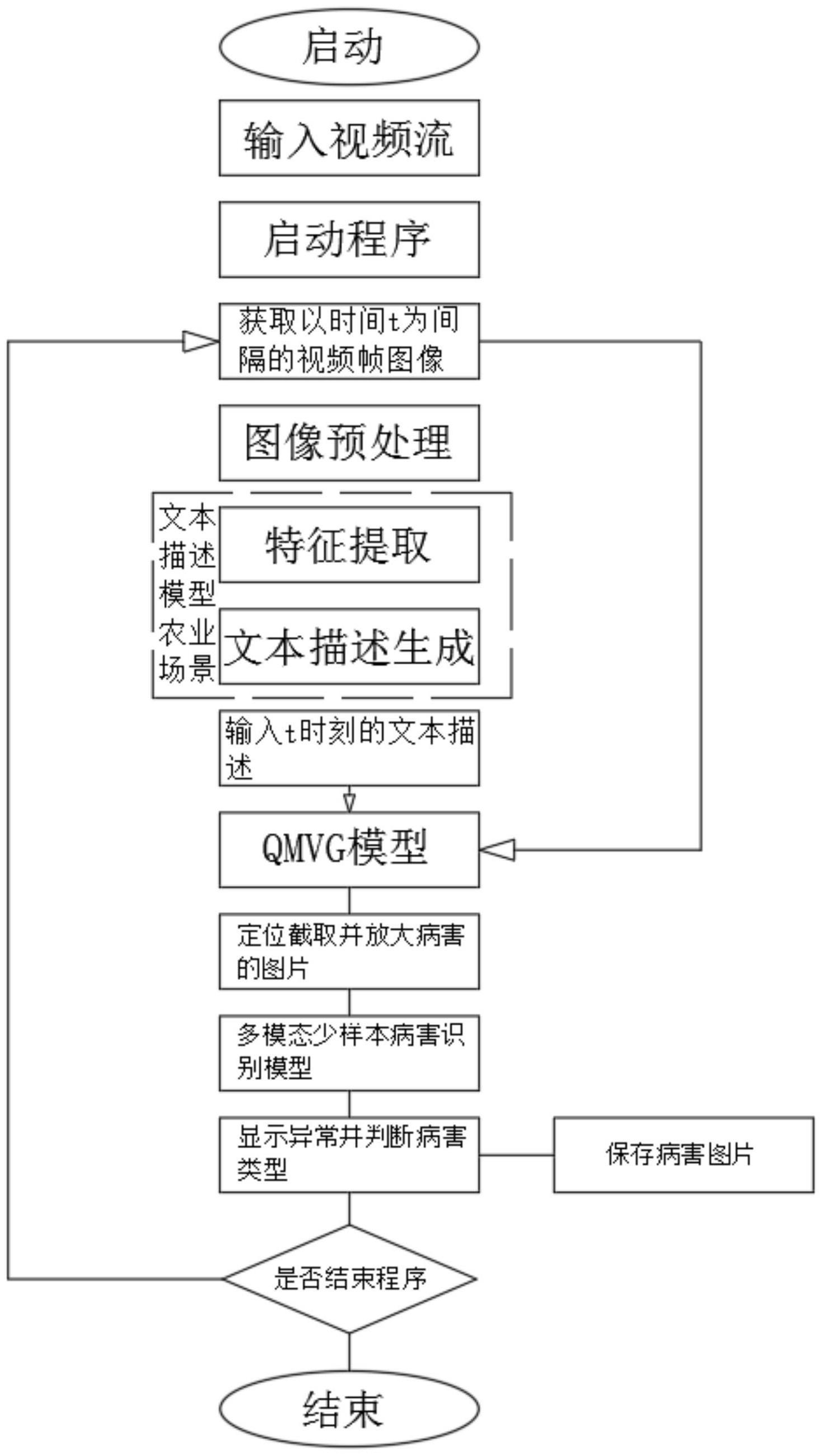 一种多模态作物病害表型协同分析模型及装置