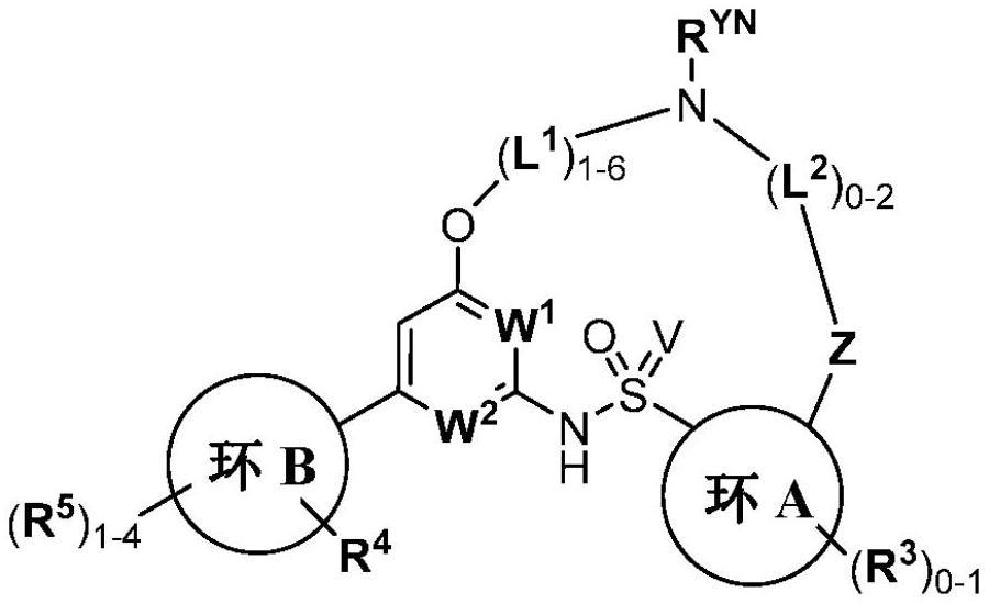 囊性纤维化跨膜传导调控因子的调节剂的制作方法