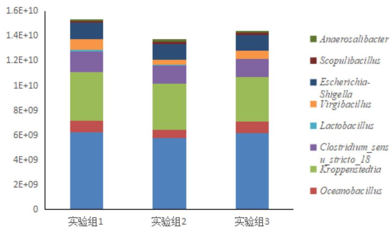 一种微生物种群绝对丰度定量的内参组合物、试剂盒及方法与流程