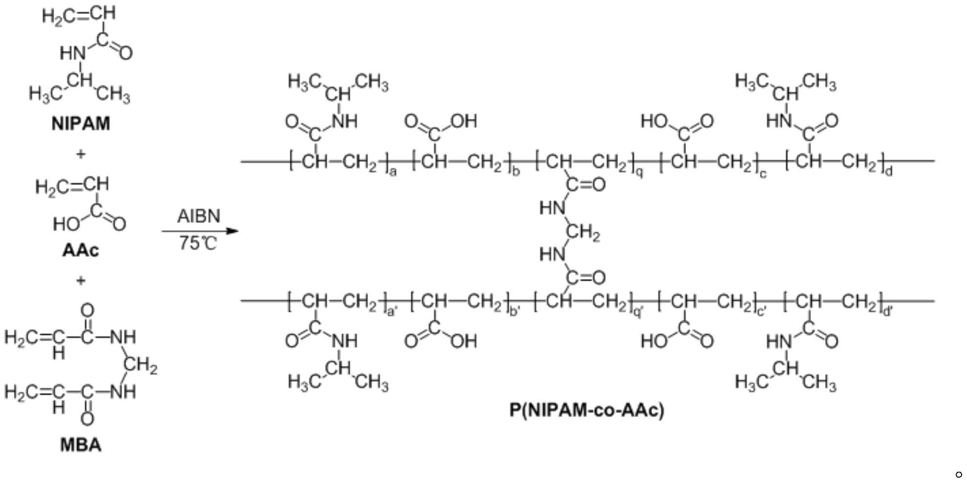 一种高效富组氨酸蛋白质分离色谱材料P(NIPAM-co-AAc)-PAMAM@Cu及其制备方法