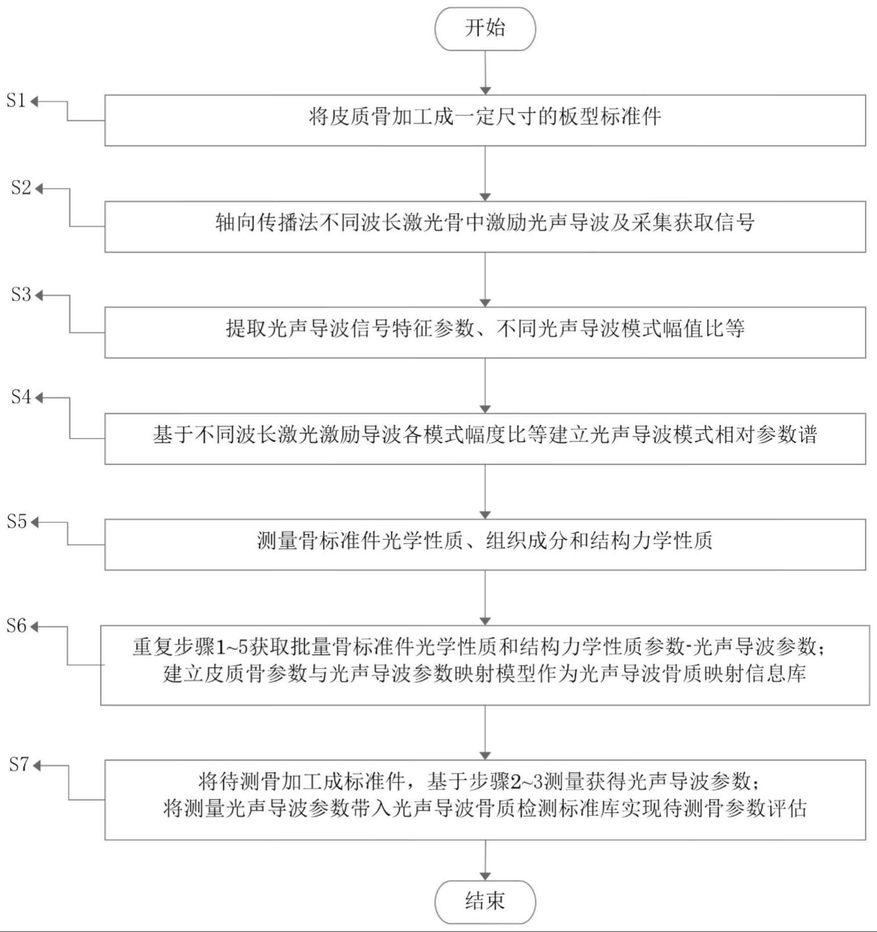 一种基于光声导波的骨组织成分和结构力学性质评估方法