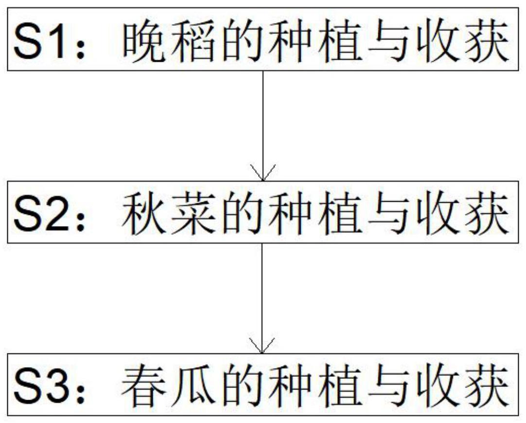 一种适宜于浙江地区的晚稻-秋菜-春瓜模式