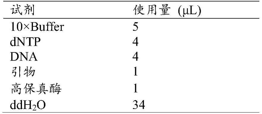 AAV5扩容衣壳突变体及其扩容检测方法与流程