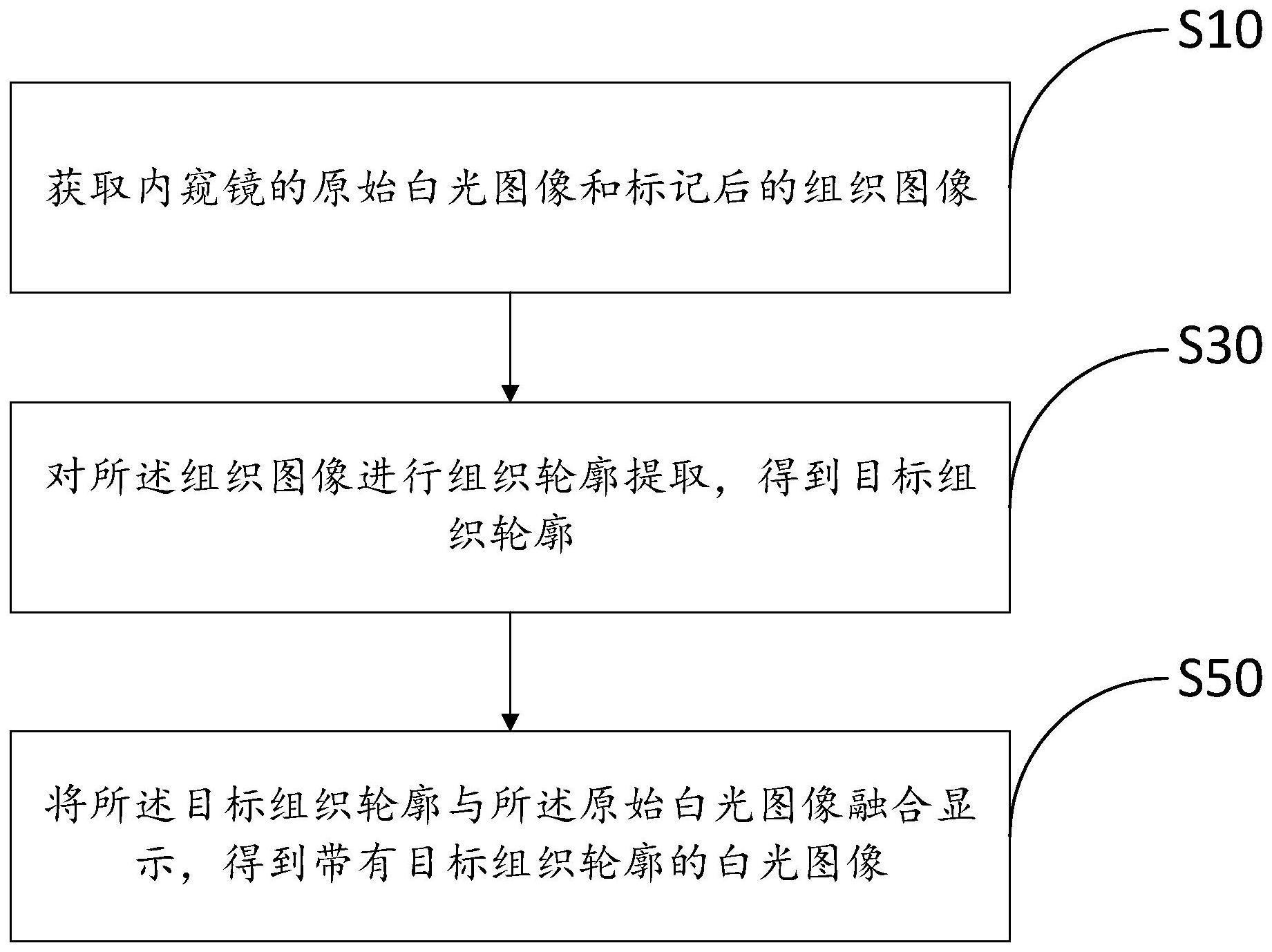 内窥镜图像显示方法、装置、终端设备以及存储介质与流程