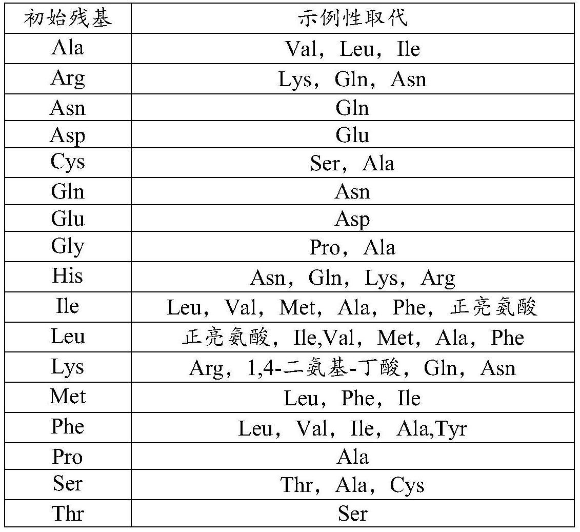 一种新型免疫调节剂的开发和应用的制作方法