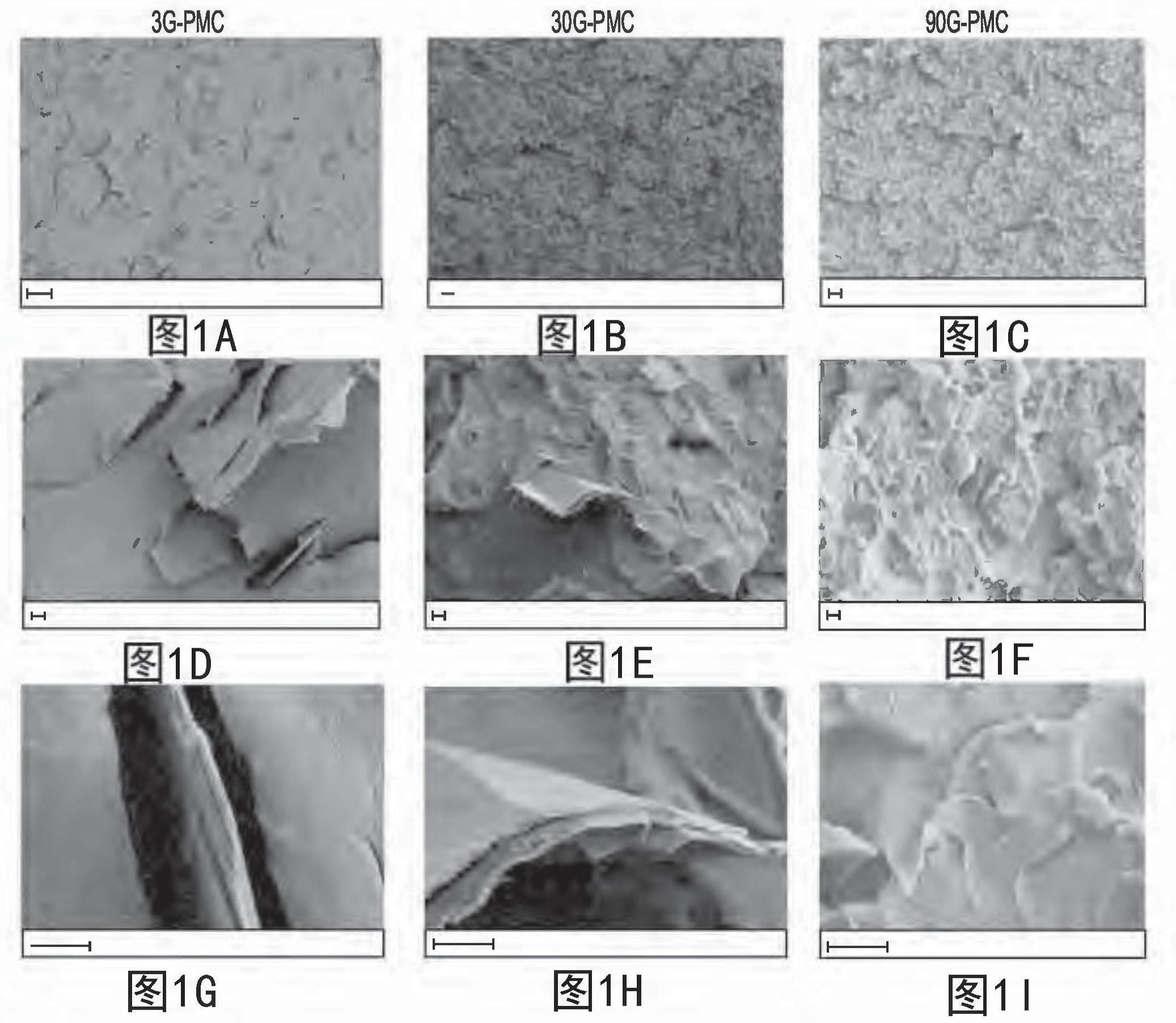 石墨烯增强的聚合物基质复合材料