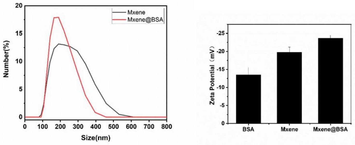 一种Mxene@BSA-ISO纳米材料及其制备方法和应用