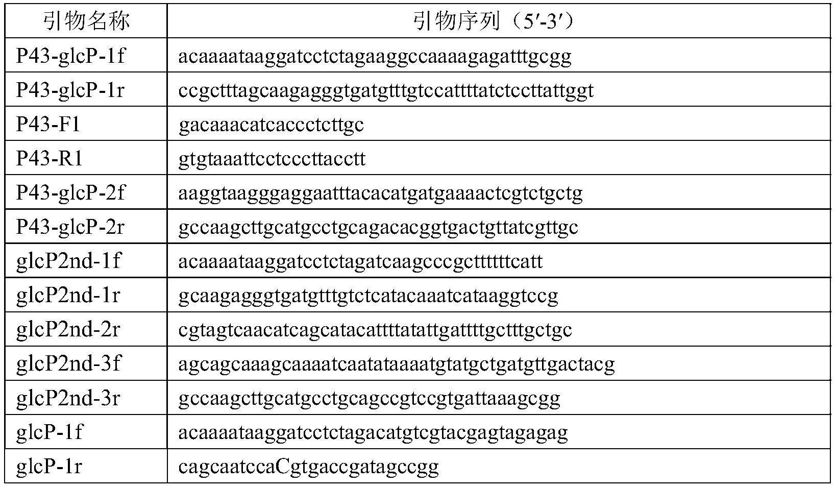 产核苷工程菌的构建方法及生产核苷的方法与流程