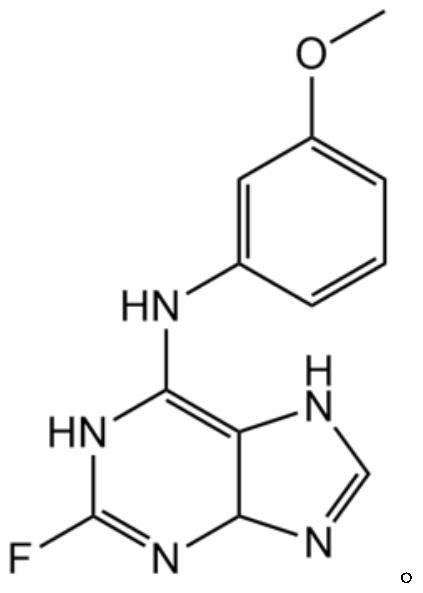 含2-氟-N-(3-甲氧基苯基)-7H-嘌呤-6-胺的液体制剂及其制备方法和应用与流程