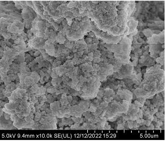 一种高分子量超支化树形大分子金属离子吸附剂的制备方法