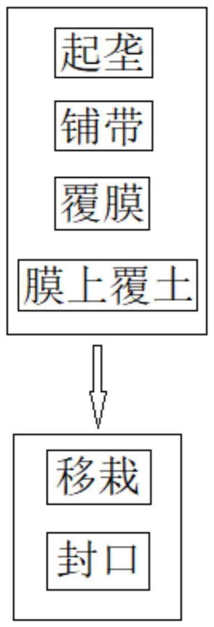 一种实现蔬菜机械移栽地膜封口的起垄方法