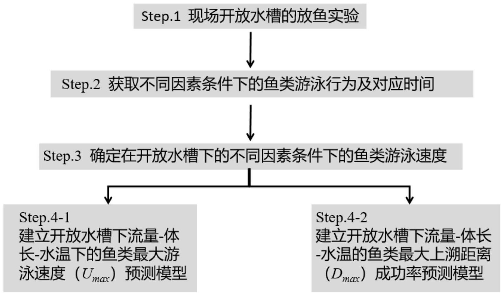 一种测试鱼类最大游泳能力的方法与流程