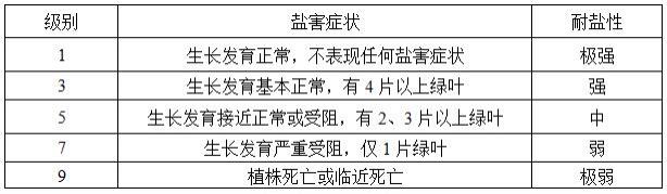 与东乡普通野生稻耐盐基因qSST4相连锁的分子标记及其应用