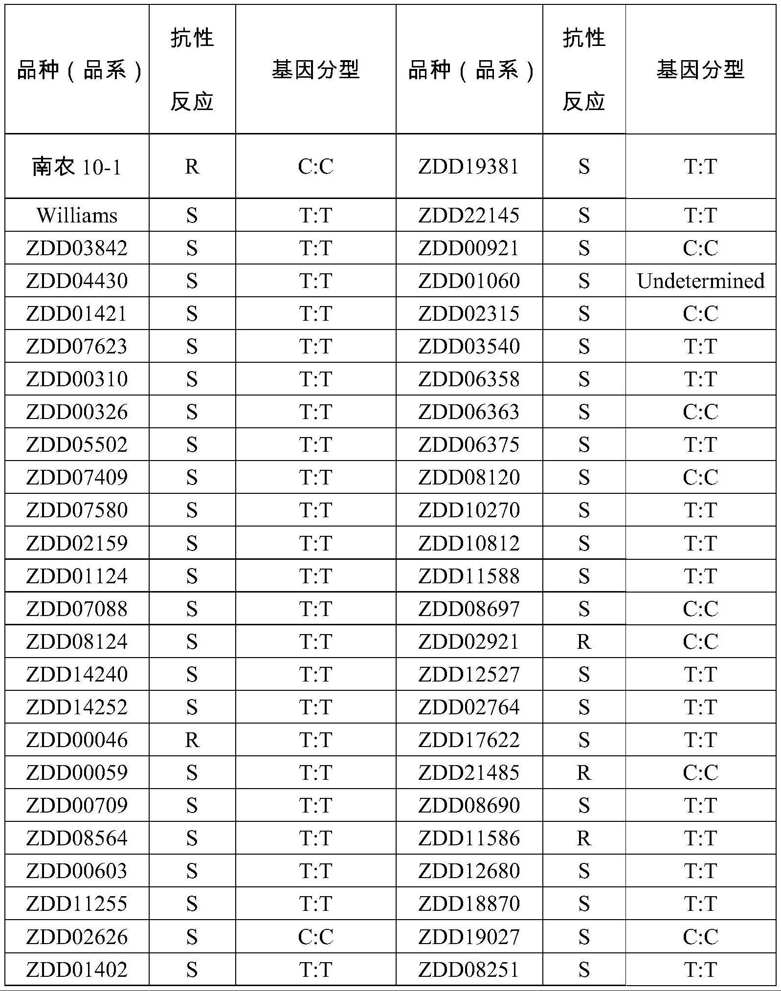 大豆疫霉抗性鉴定的KASP分析标记及应用