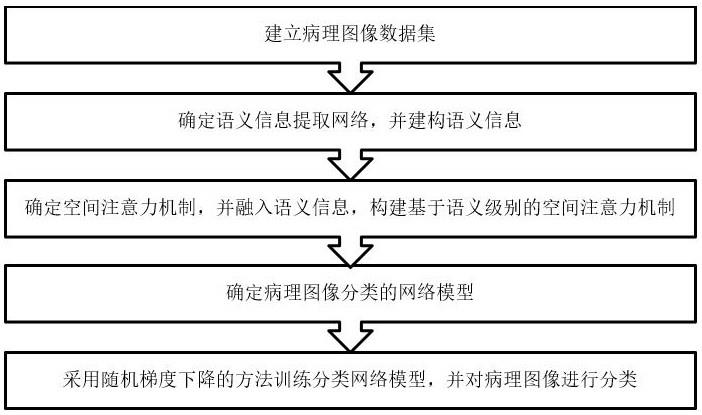 基于语义空间注意力的病理图像分类方法