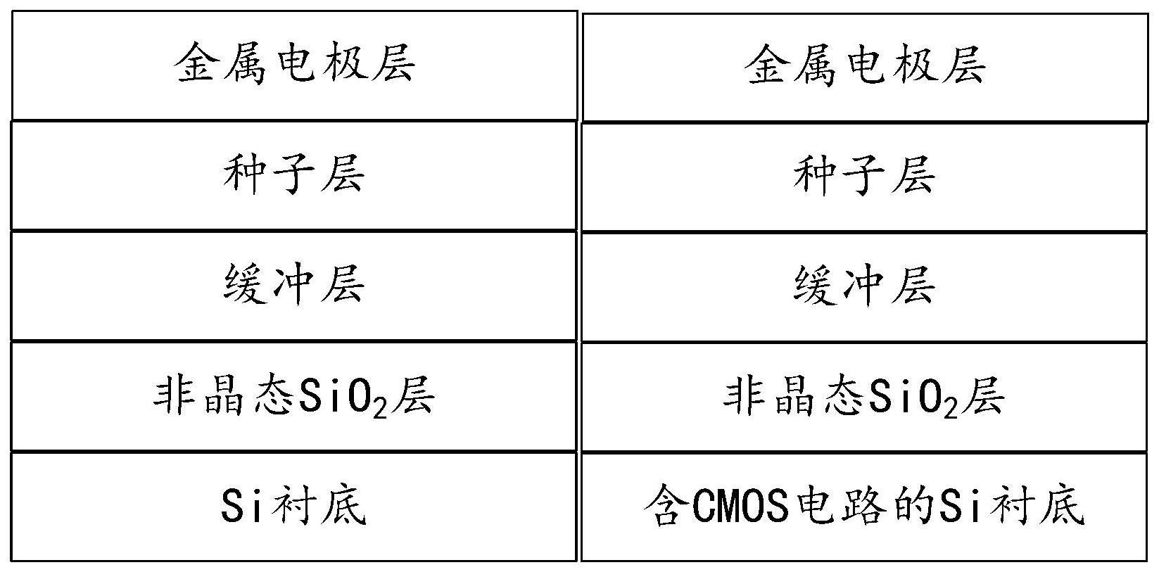 一种定向金属电极单元及其制备方法和应用与流程