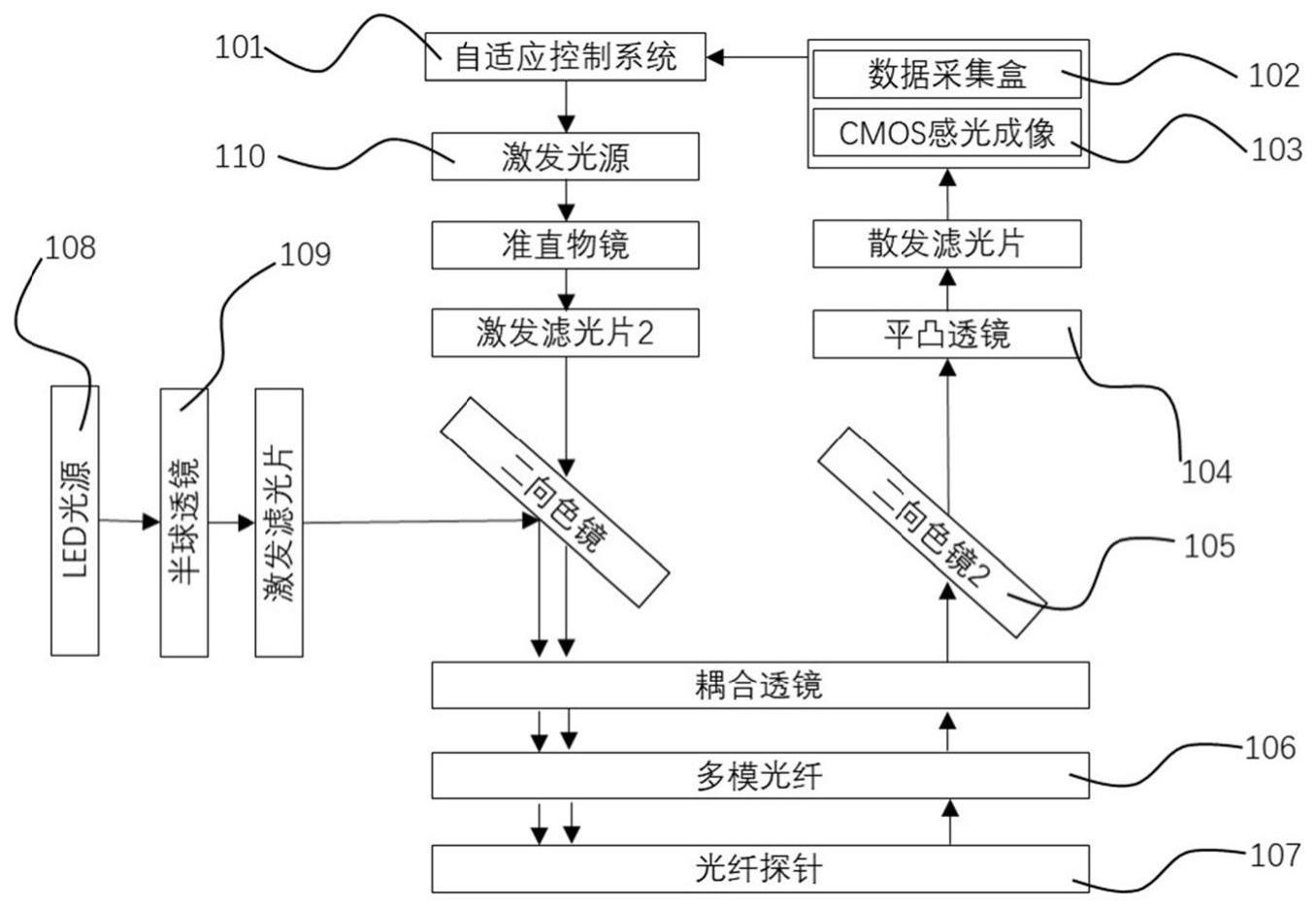 基于自适应光遗传技术的神经元调控系统及方法