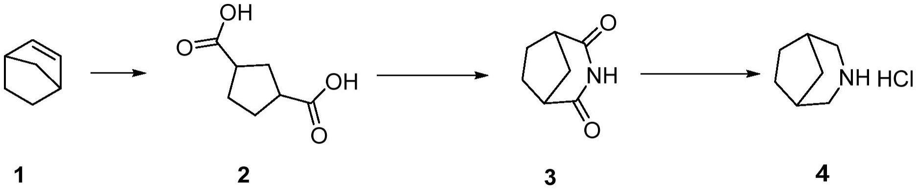 一种制备3-氮杂双环[3，2，1]辛烷盐酸盐的方法与流程