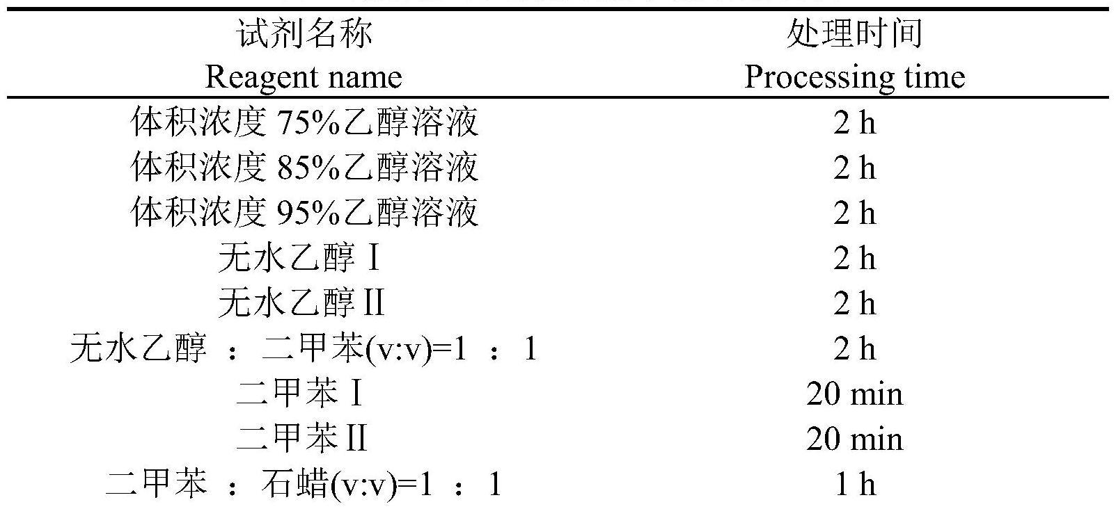 一种虹彩细胞的石蜡切片方法