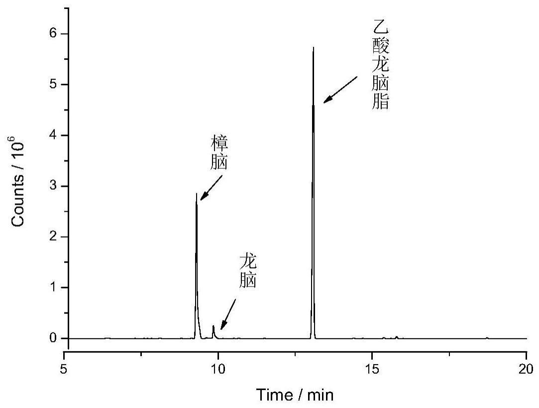 一种同步测定砂仁中乙酸龙脑酯、樟脑、龙脑含量的检测方法