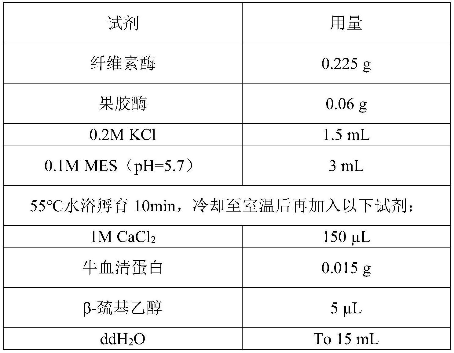 利用HIGS技术培育条锈菌抗性植物的方法及其所用的蛋白质与相关生物材料