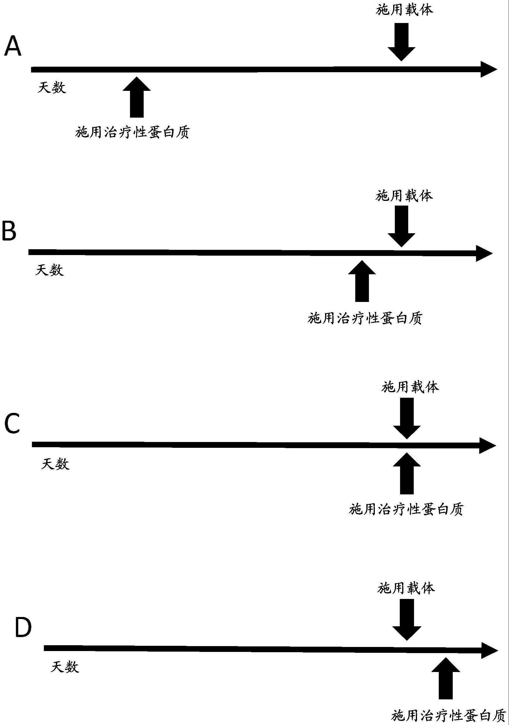 抑制针对载体递送的治疗性蛋白质的免疫应答的方法与流程