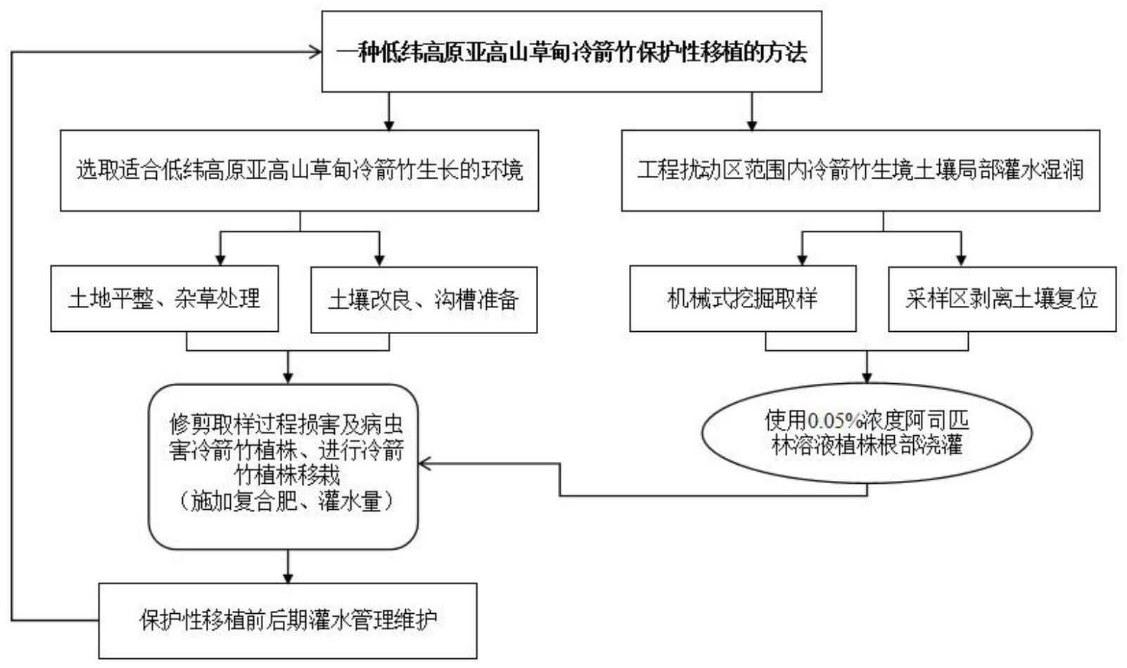 一种低纬高原亚高山草甸冷箭竹保护性移植的方法