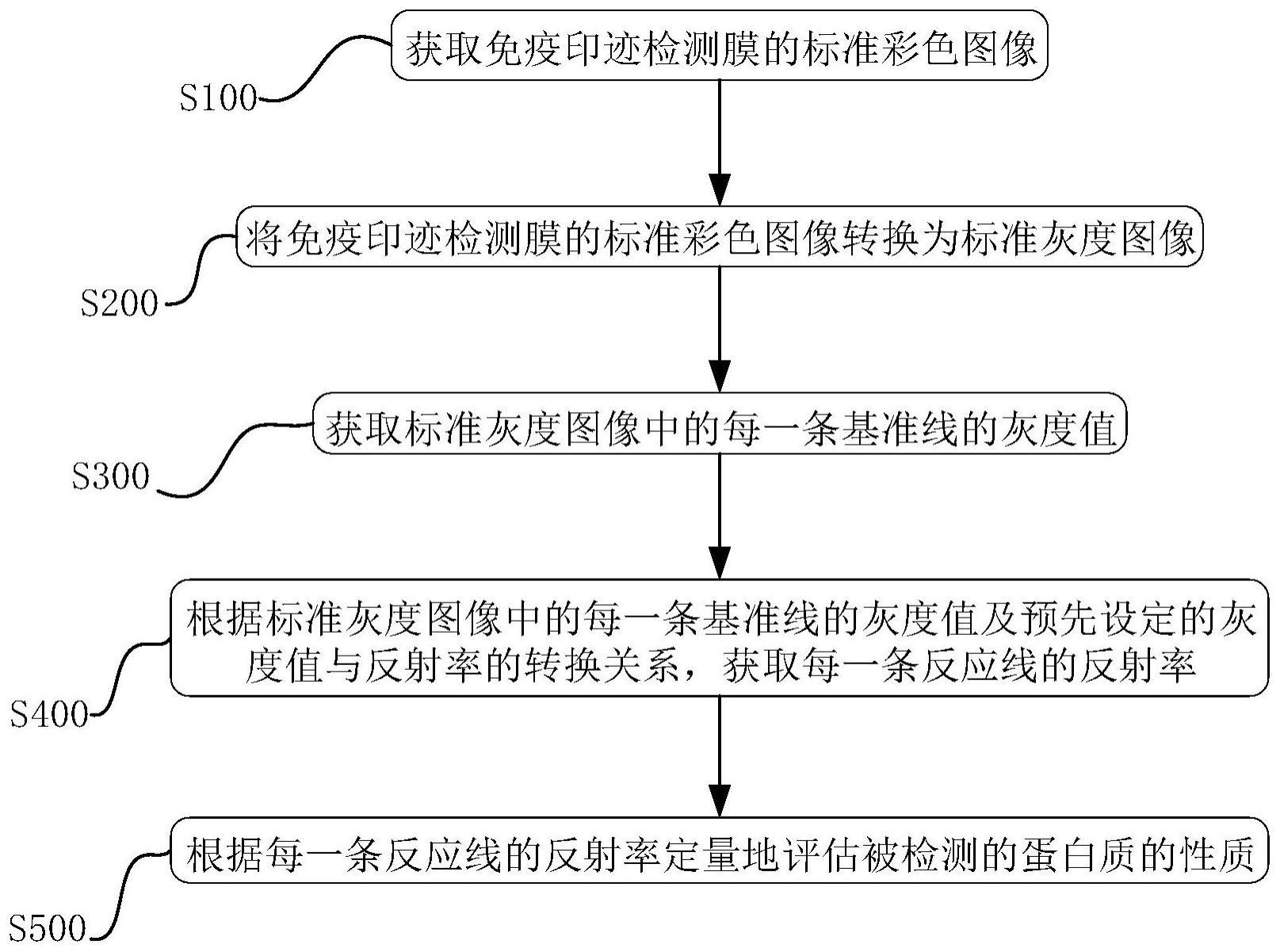 免疫印迹检测膜条评估方法及装置、存储介质及电子设备与流程