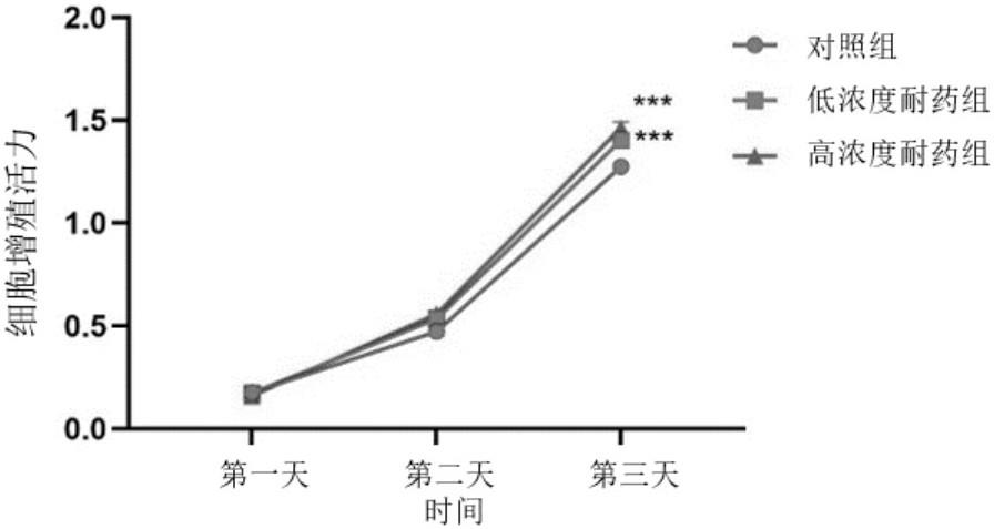 一种生长激素型垂体瘤耐药细胞系