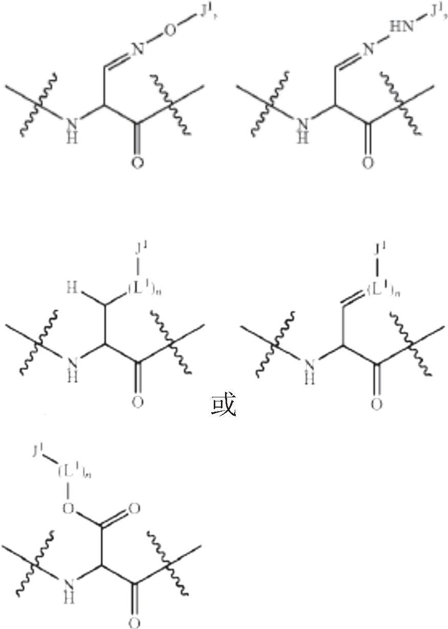 抗体分子-药物偶联物及其用途的制作方法