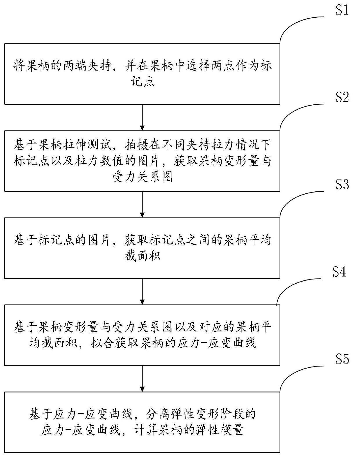 一种基于高速相机的果柄弹性参数测试方法及系统