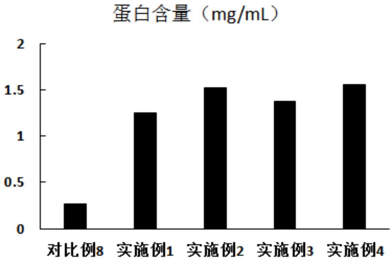 超低分子透明质酸发酵液、含其产品、及其制备和应用的制作方法