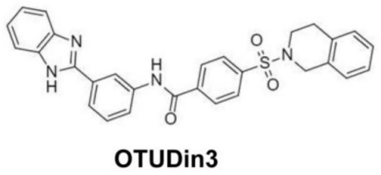 一种抑制去泛素化酶OTUD3活性的化合物在治疗和/或预防肿瘤中的应用