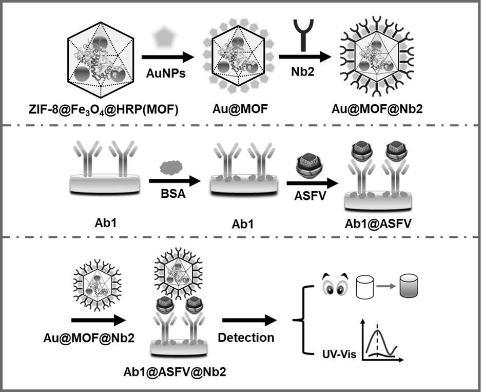纳米复合酶材料及其制备方法、纳米复合酶检测抗体、比色免疫传感器及其检测方法