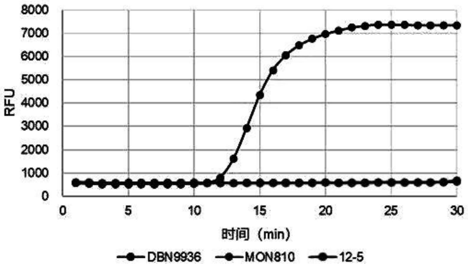 一种转基因玉米的LAMP扩增和可视化检测方法与流程