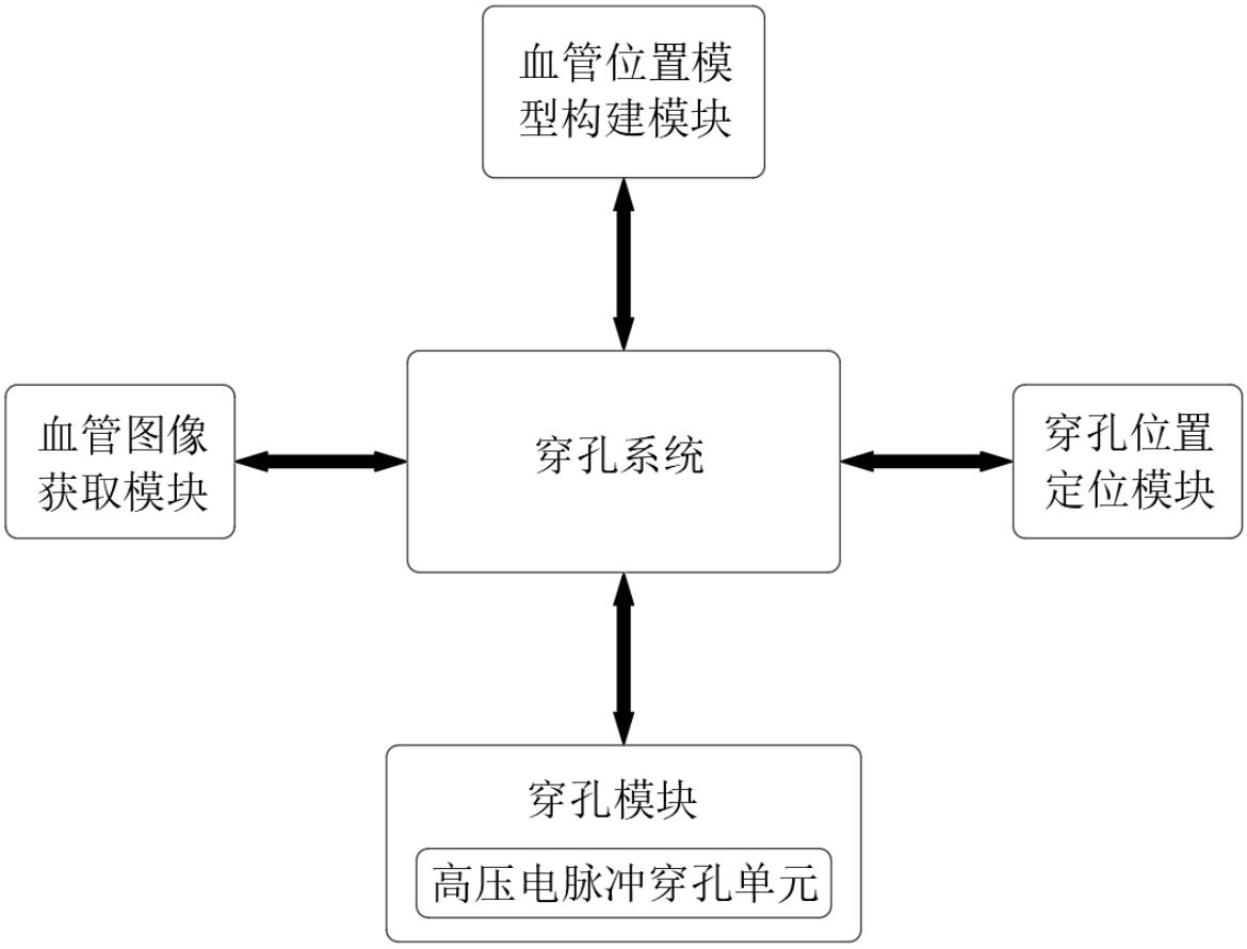 一种用于心脏脉管内不可逆穿孔系统的制作方法