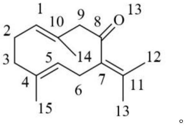 一种抗肾损伤、防治糖尿病肾脏疾病的药物及药物组合物