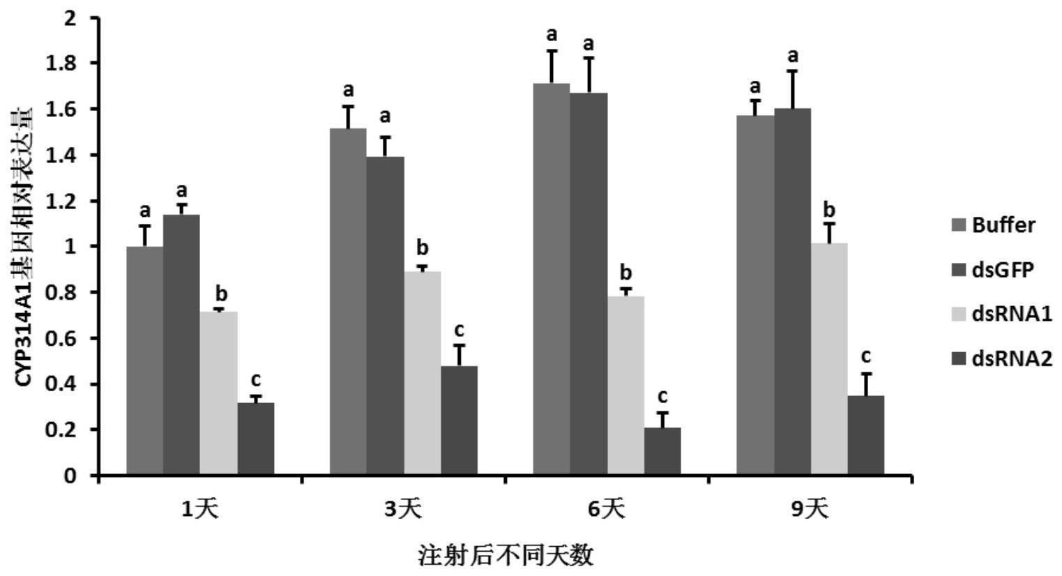 一种抑制二化螟解毒代谢活性的dsRNA、基因片段及引物对和应用