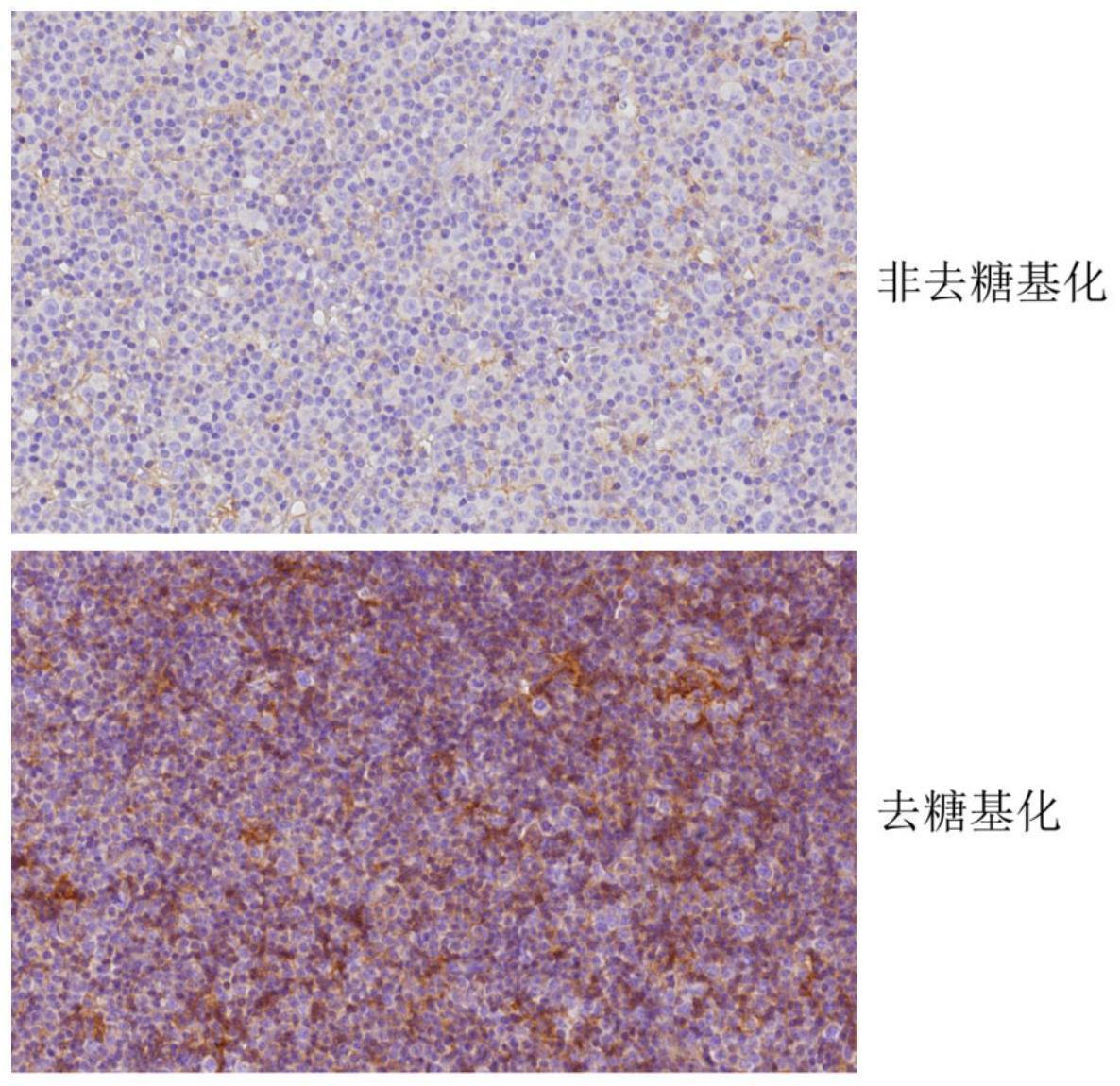 一种提高PD-L1检测灵敏度的方法及其应用